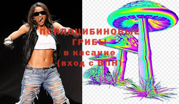 хмурый Россошь