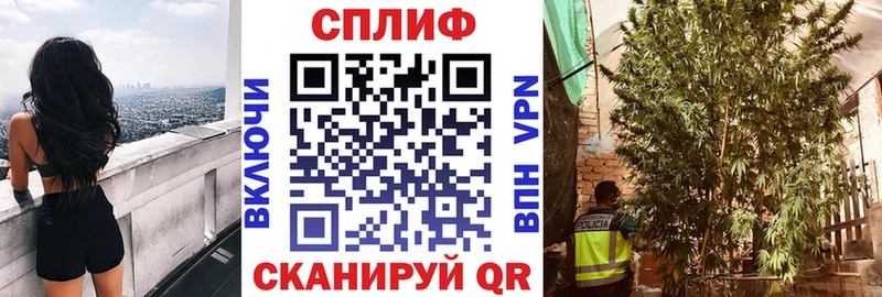 Бошки марихуана план  Купить  Исилькуль 
